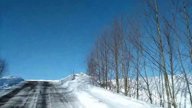 Поездка за яйцом гуся смотреть онлайн