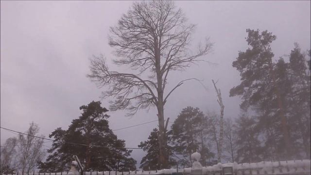 Горячий источник... Тюмень, 22 ноября 2016 года смотреть онлайн