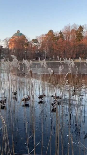 Романтичный Светлогорск! 💕Путешествие по Калининградской области😍 смотреть онлайн