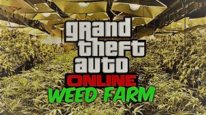 GTA 5 – Продаю травку | Нелегальный бизнес в Лос-Сантосе часть 2