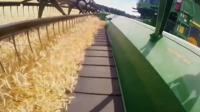 Технологія виробництва хліба  - Богдан Колісник (сюжет до програми ТЕМА: Хліб)