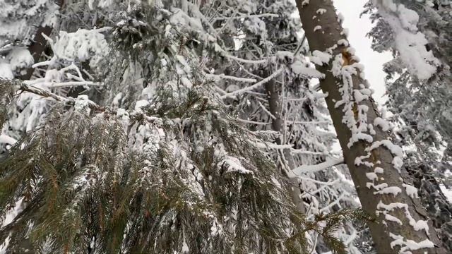 БУКОВЕЛЬ Підйомник, гора Буковель, траси, озеро Молодості #карпати #буковель #karpaty #2023 смотреть онлайн