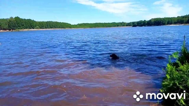 Конец отдыха/ В нашу палатку залез мужык смотреть онлайн