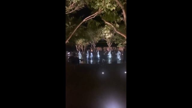 Куда сходить в Краснодаре? Парк Галицкого, Краснодар -Джубга. смотреть онлайн