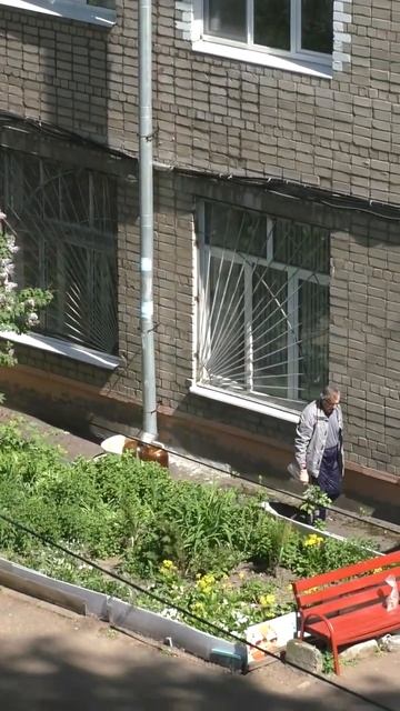 Байден рвет сирень для свой жены #shorts