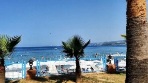 Lonicera World 2024 Итоги Часть 3 Июль Интернет Шопинг Цены