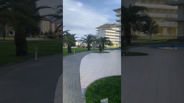 Сочи парк отель, прогулка по территории #декабрь2023 смотреть онлайн