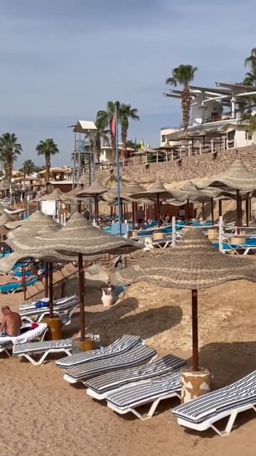 Egypt. Concorde el Salam Front. Red Sea. Sharm el Sheikh. Египет. Шарм эль Шейх.Красное море