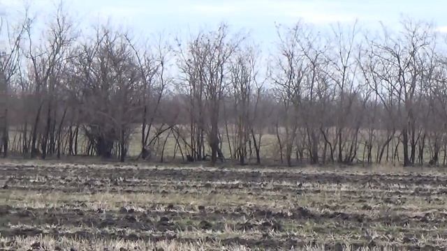 Охота на зайца 2024. Погода отвратительная смотреть онлайн