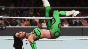 [PC] WWE 2K18 [Женская борьба]