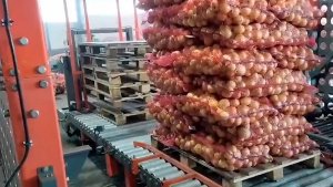 Автоматический укладчик мешков с луком на паллеты 500 циклов в час