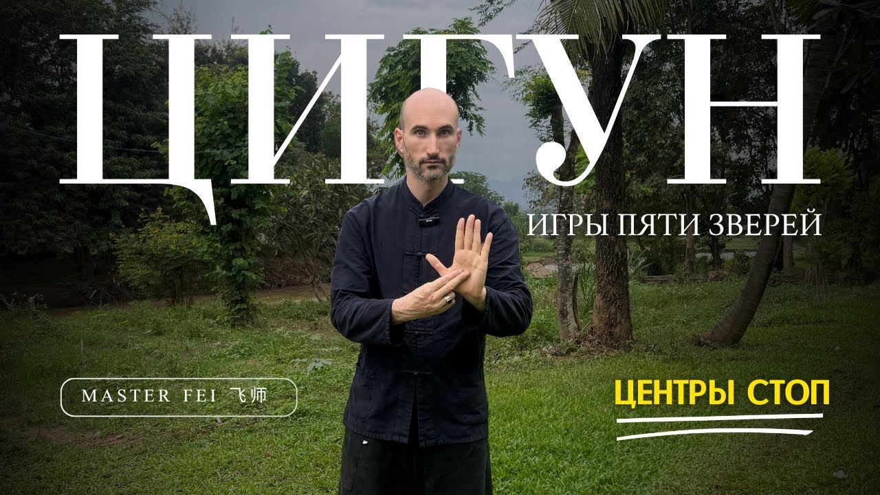 ЦЕНТРЫ СТОП - ЦИГУН - ИГРЫ ПЯТИ ЗВЕРЕЙ смотреть онлайн