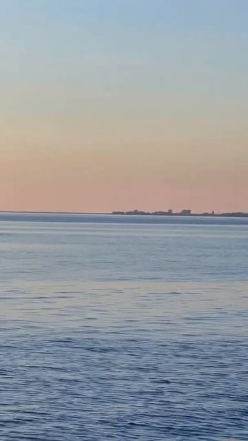 Travel-блогеры Алёша и Любава встретили дельфина около нашего пляжа смотреть онлайн