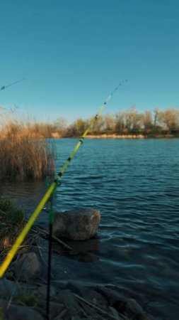 Мир Глазами Рыбака 👀🎣2️⃣