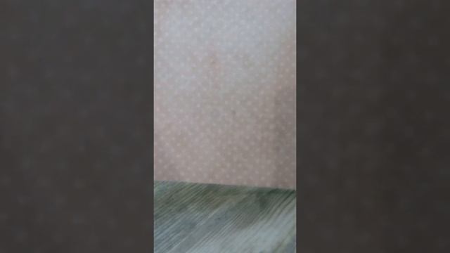 Обзор минтая смотреть онлайн