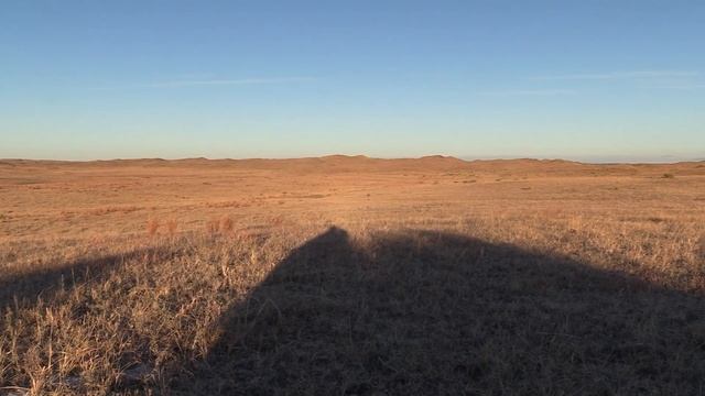 Coyote Hunting: 5 Coyotes - CC Season 6 E10 "Thanksgiving Coyotes" смотреть онлайн