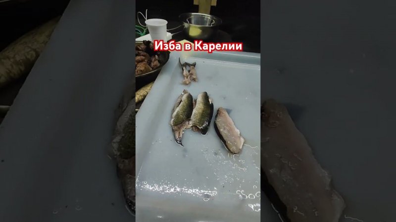 Изба в Карелии у Онежского озера