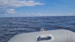 Рыбинское водохранилище. Кемпинг "Три берега"