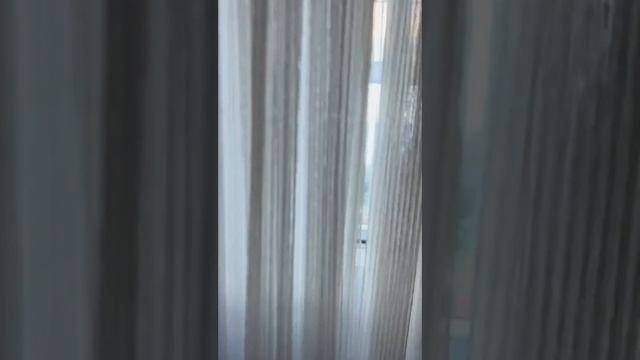 обзор нашего номера в отеле Xezri в Азербайджане смотреть онлайн