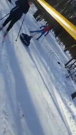Лыжные покатушки в Измайлово   1
