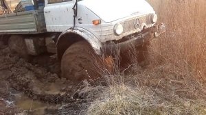 Unimog 406 зверь выгребает из грязи