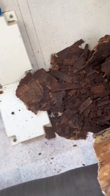 Гнилой пол в принципе дача #домнаколесах #караванинг #автодом #кемпинг #прицепдача #shorts смотреть онлайн