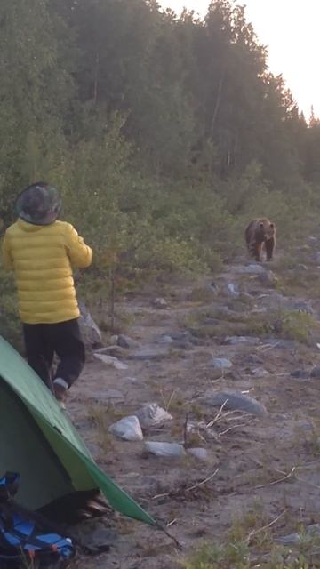 На медведя с телефоном! смотреть онлайн