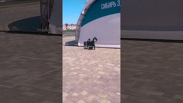 Дни культуры Новосибирской области в Республике Беларусь (Новосибирь) смотреть онлайн