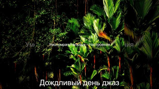 Кофейни смотреть онлайн