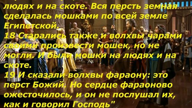 Личное водительство
