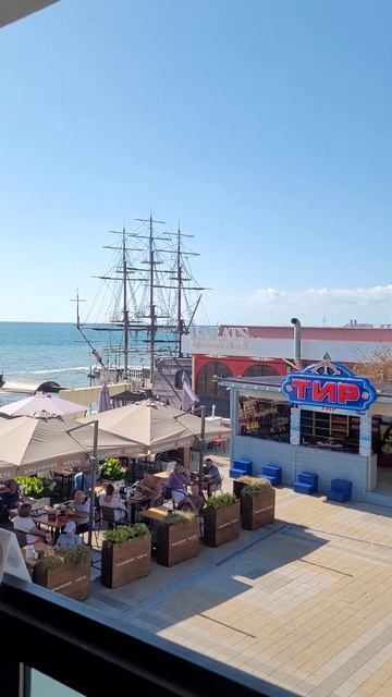 Блюдо из МИДИЙ в кафе на пляже Сочи. 20.09.23 смотреть онлайн