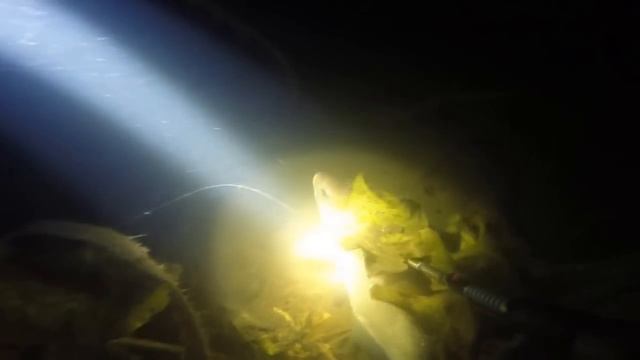 Подводная охота (лещ) смотреть онлайн