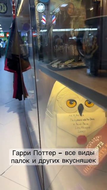 Мир Гарри Поттера #грузия #грузия2023 #грузиябатуми #дети смотреть онлайн