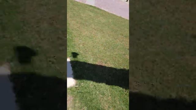 🗿Египет Хургада Клеопатра🗿 смотреть онлайн