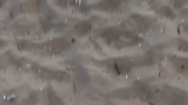 Итальянские каникулы/Винченца/Прогулка по побережью/Фоткаемся/сходим с ума #неделявлогов смотреть онлайн