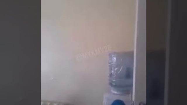 Руководство санатория не извинилось перед родителями укушенного собакой малыша в Кисловодске смотреть онлайн