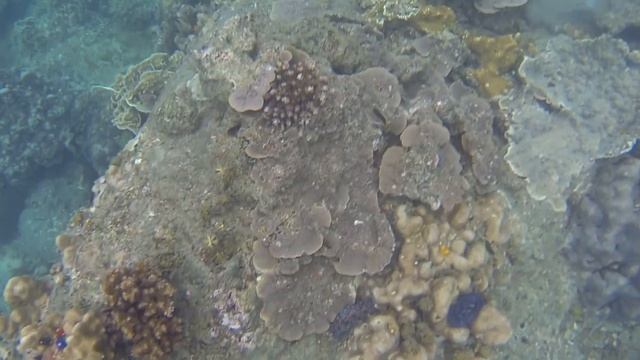 Ко Тао смотреть онлайн