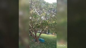 отель Pinnacle Grand Jomtien Resort .