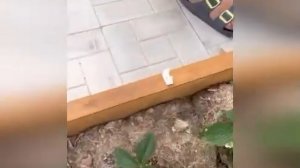 Идея для дачи на зaмeтку