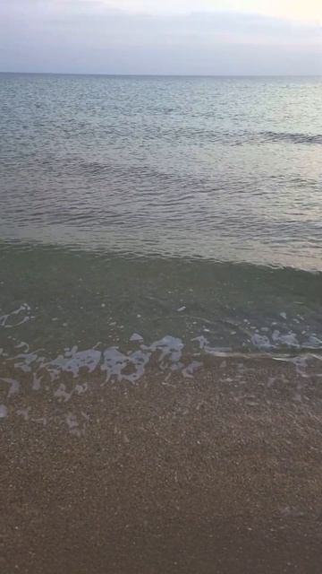 Море смотреть онлайн