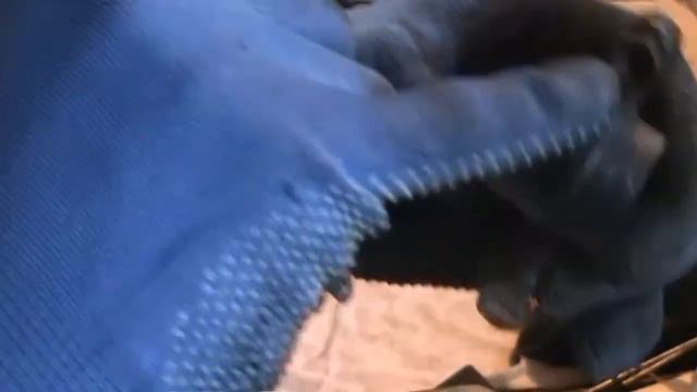 Ось коромысел смотреть онлайн