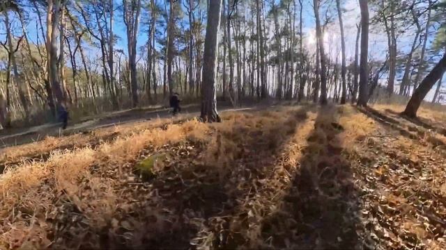 Кисловодск 2024 Дима Андрей Миша смотреть онлайн