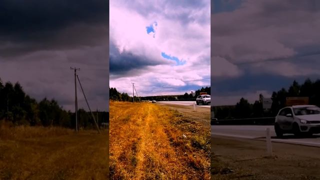 ЛесныеЯблокии вишнялесная дикаявишнявишняперезрела