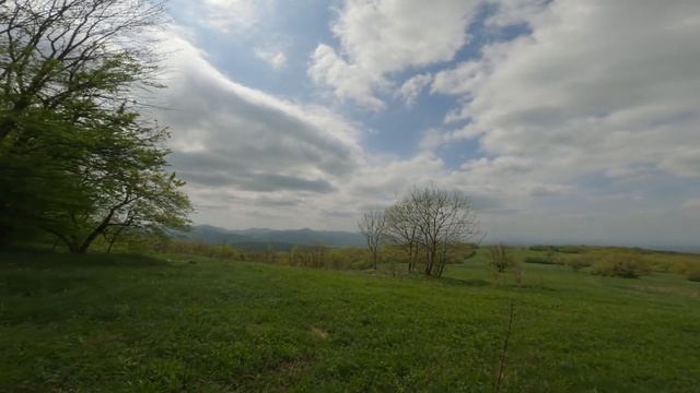 Шизе 29 04 2022 смотреть онлайн