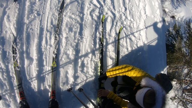 НОРВЕГИЯ – КАТАЕМСЯ НА ЛЫЖАХ В ЗИМНЕМ ЛЕСУ | 4К смотреть онлайн