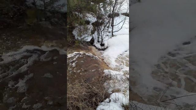 наши ручьи смотреть онлайн