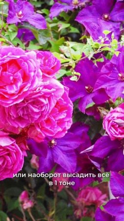 Лучшие парные сочетания 🌸