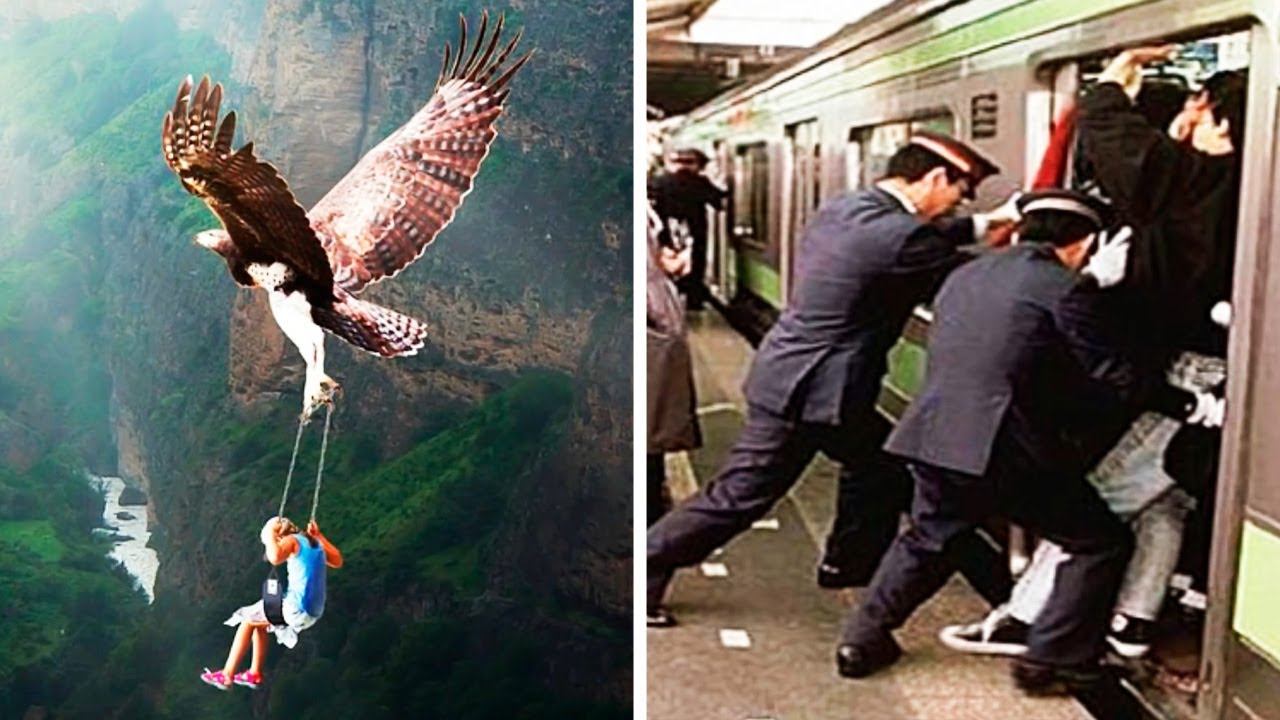 Неожиданные профессии со всего мира (#27) смотреть онлайн