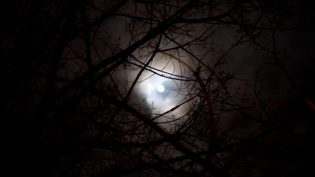 СТРАШНЫЕ ИСТОРИИ НА НОЧЬ - УРОДЦЫ ЗА ДВЕРЬЮ смотреть онлайн