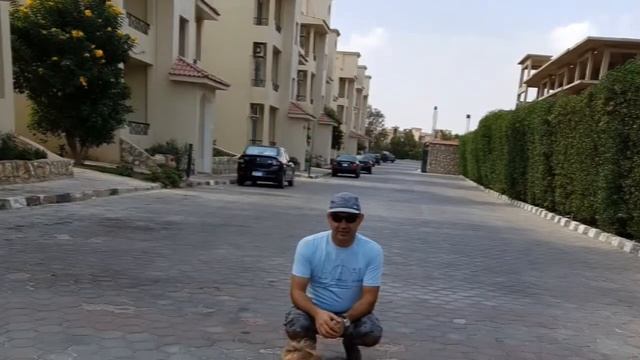 Ася в Sharm Bride. смотреть онлайн